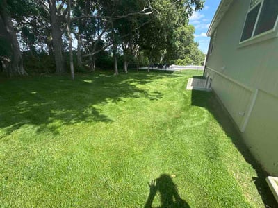 Lawn care service in Olathe, 66062