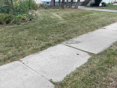 Lawn care service in Appleton, 54914
