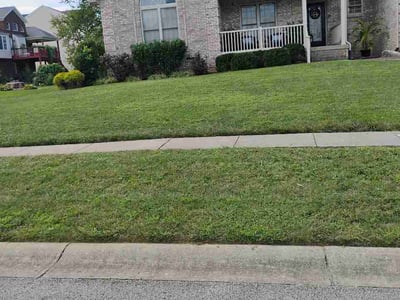 Lawn care service in Louisville, 40291