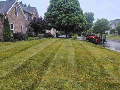 Lawn care service in Knoxville, 37931
