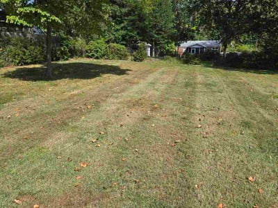 Lawn care service in Fairfax, 22031