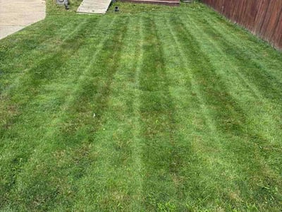Lawn care service in Parma, 44134