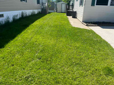 Lawn care service in Clinton Township, 48038
