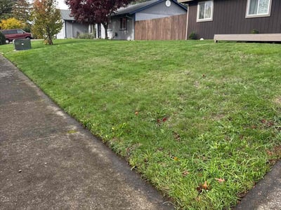 Lawn care service in Battle Ground, 98604