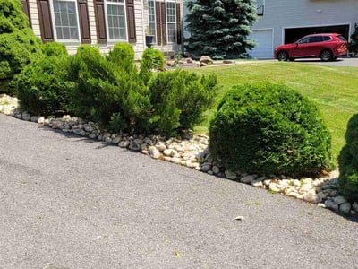 Lawn care service in Easton, 18045
