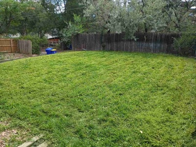 Lawn care service in Colorado Springs, 80909