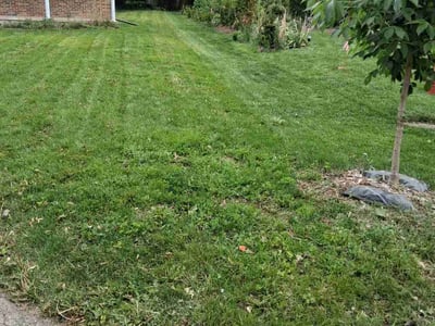 Lawn care service in Madison, 53716