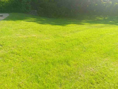 Lawn care service in Minneapolis, 55436