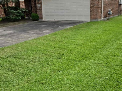 Lawn care service in Humble, 77338