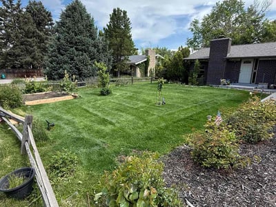 Lawn care service in Lakewood, 80215