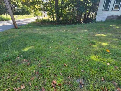 Lawn care service in Bellingham, 02019