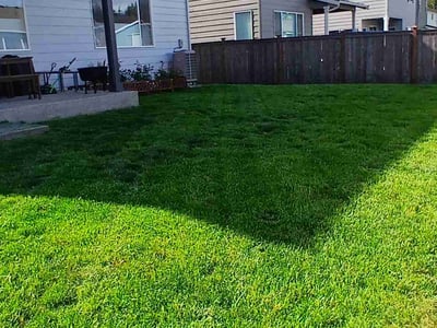 Lawn care service in Port Orchard, 98367