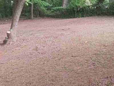 Lawn care service in Morrow, 30260