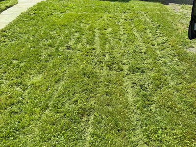 Lawn care service in Bridgeport, 06606