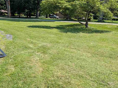 Lawn care service in Indianapolis, 46228