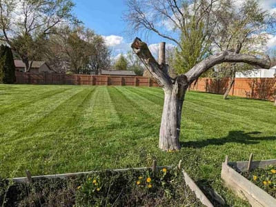 Lawn care service in Swartz Creek, 48473