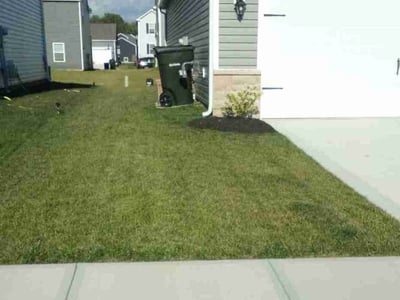 Lawn care service in Columbus, 43228