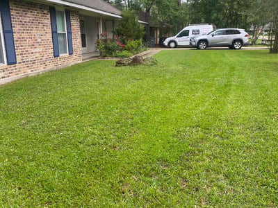Lawn care service in Central, 70739