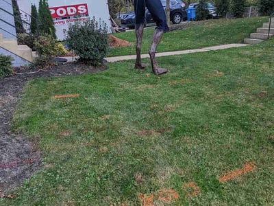 Lawn care service in , 
