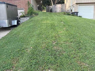 Lawn care service in Des Moines, 50317