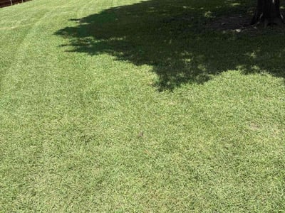 Lawn care service in Garland, 75040