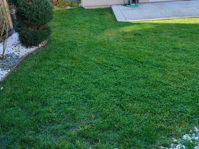 Lawn care service in Roseville, 95747