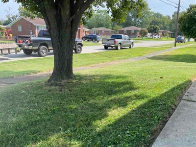 Lawn care service in Louisville, 40229