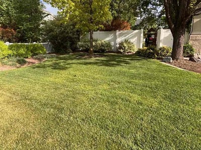 Lawn care service in Lindon, 84042