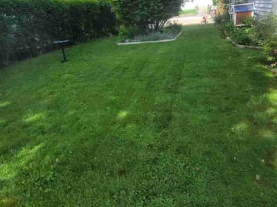 Lawn care service in West Warwick, 02893