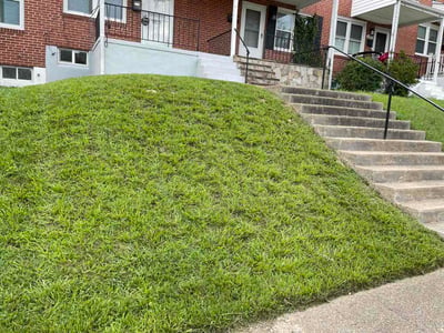 Lawn care service in Baltimore, 21229
