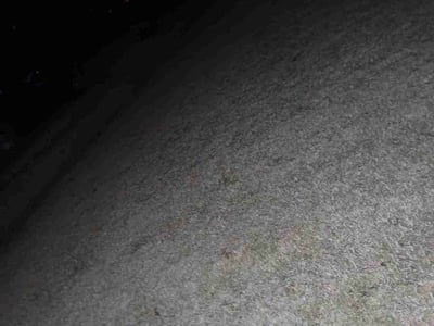 Lawn care service in Atoka, 38004