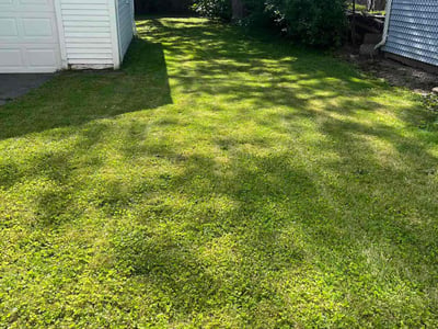 Lawn care service in Buffalo, 14215