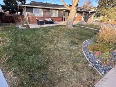 Lawn care service in Littleton, 80128