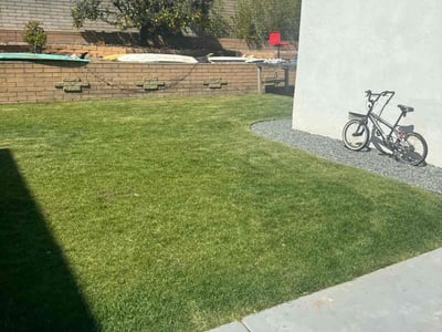 Lawn care service in San Diego, 92111