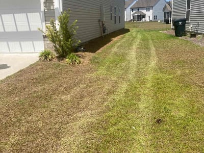 Lawn care service in Summerville, 29486