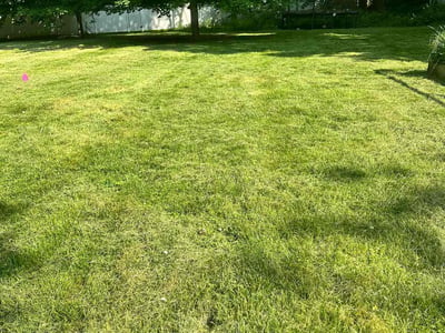 Lawn care service in Westport, 06880