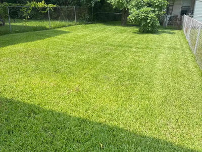 Lawn care service in Norfolk, 23504