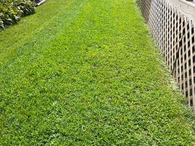 Lawn care service in Edgewood, 21040