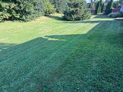 Lawn care service in Darien, 60561