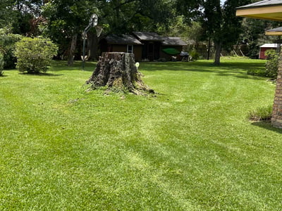 Lawn care service in Baton Rouge, 70814