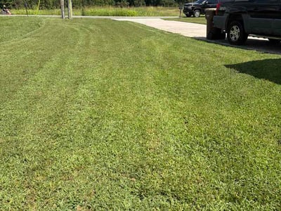 Lawn care service in Athens, 35613