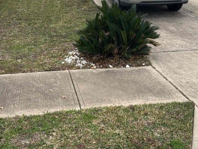 Lawn care service in Austin, 78754