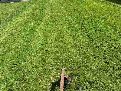 Lawn care service in Chicago, 60636