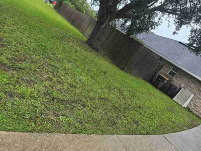 Lawn care service in Jacksonville, 32221