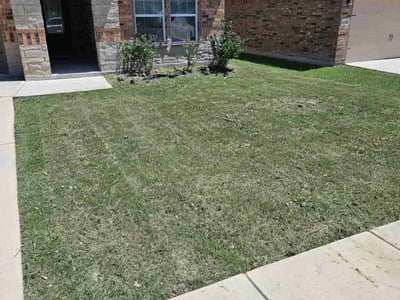Lawn care service in New Braunfels, 78132