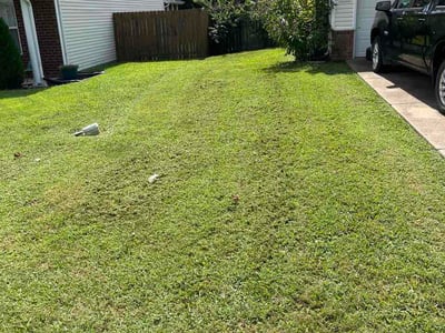 Lawn care service in Thompson's Station, 37179