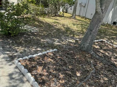 Lawn care service in Tampa, 33647