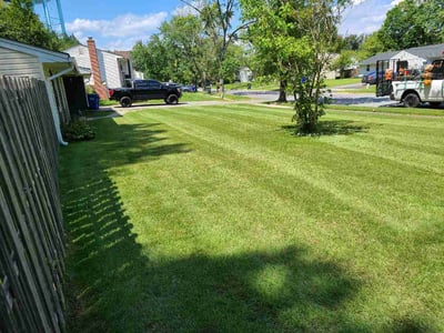Lawn care service in Waldorf, 20601