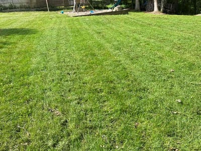 Lawn care service in Norwich, 06360