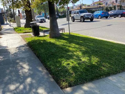 Lawn care service in Riverside, 92501